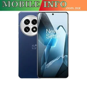 OnePlus 13