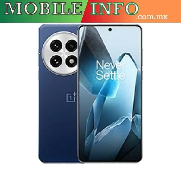 OnePlus 13